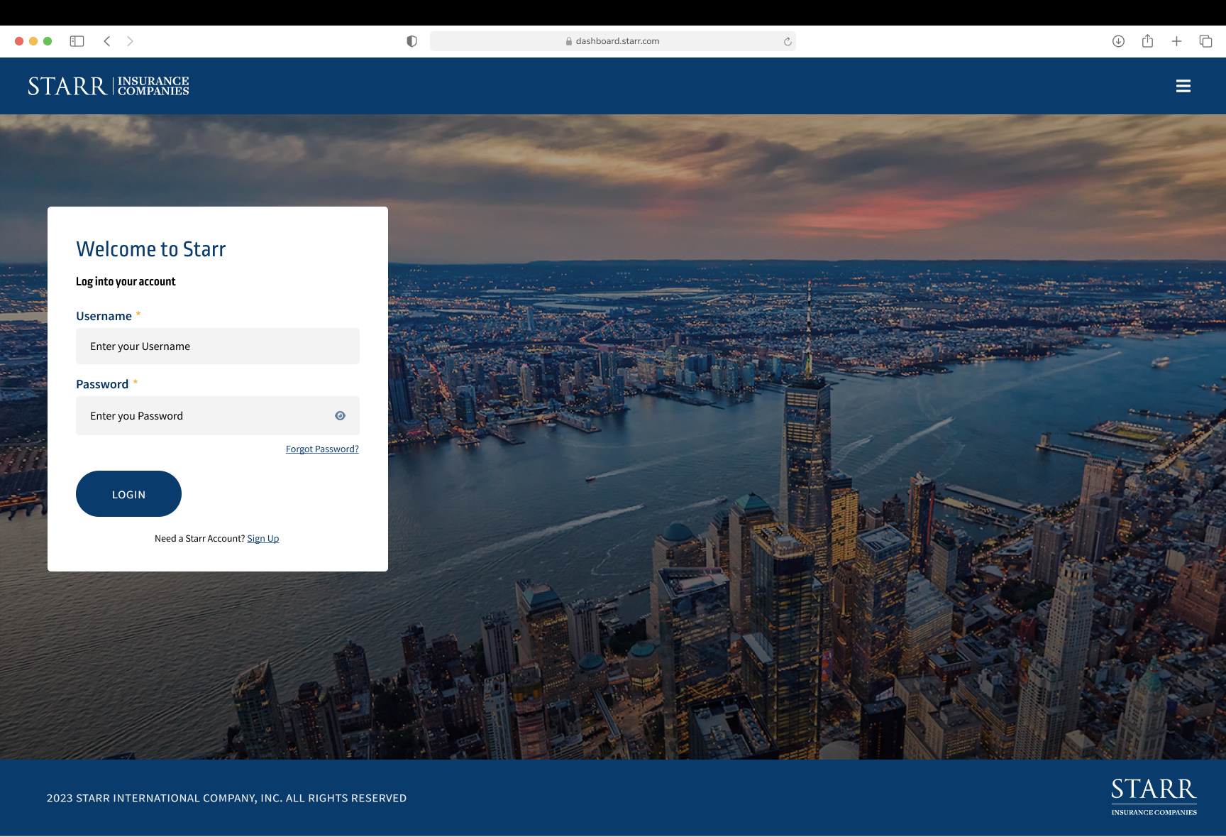 STARR Underwriter Workbench Portal portfolio thumbnail